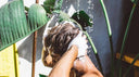 Purifying Shampoo
